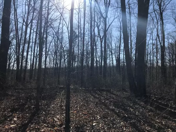 Dunlap, TN 37327,6 Deerhead RD