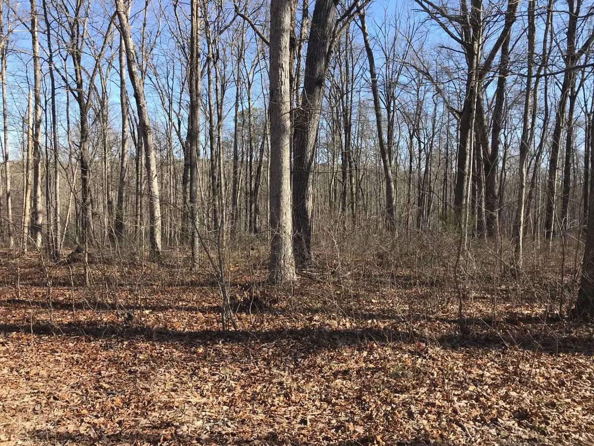 Dunlap, TN 37327,6 Deerhead RD