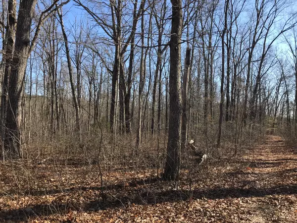 Dunlap, TN 37327,6 Deerhead RD