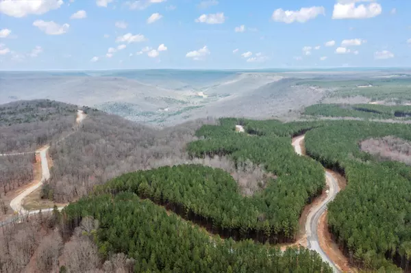 Jasper, TN 37347,0 Moonlight LN