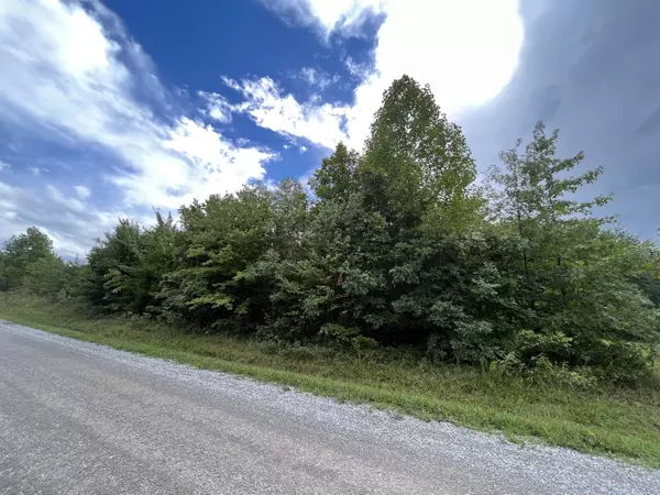 Pikeville, TN 37367,Lot 4 Poplar RD