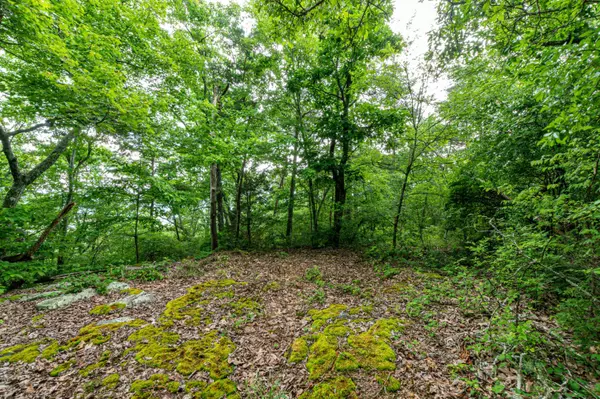 Pikeville, TN 37367,Lot 45 Gray Rock