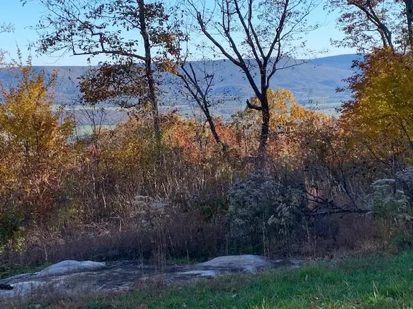 Pikeville, TN 37367,Lot 45 Gray Rock