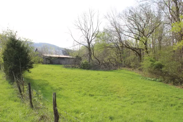 Pikeville, TN 37367,9ac Old Dayton RD