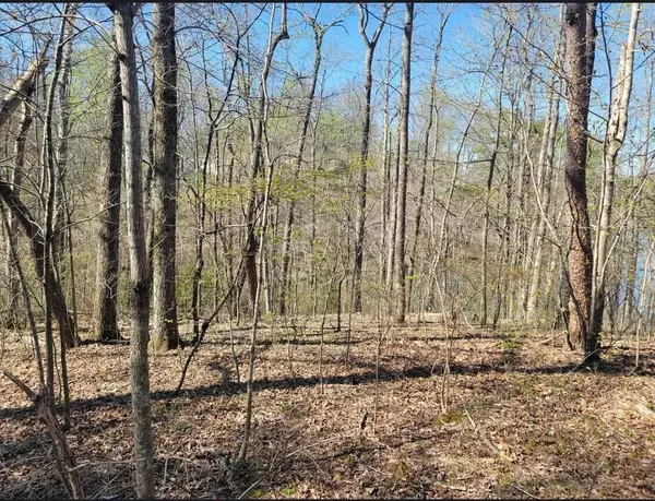 Crossville, TN 38555,0 Indian Rock LOOP