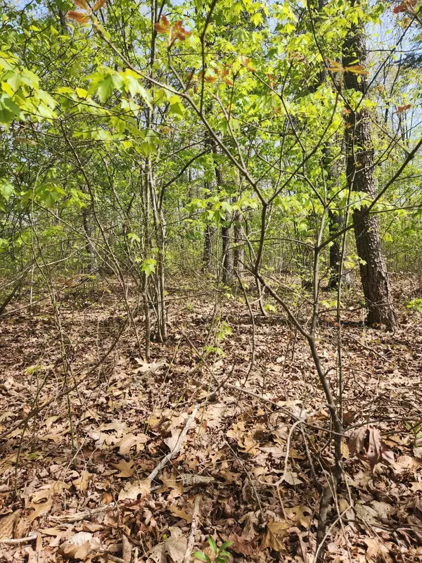 Pikeville, TN 37367,0 Gray Rock