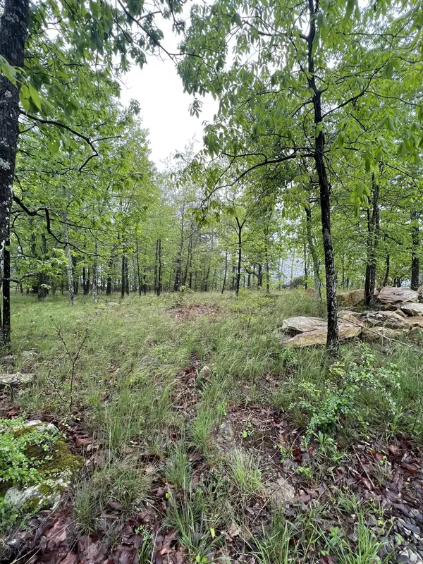 Rising Fawn, GA 30738,2427 Sunset DR