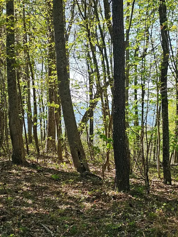 Jasper, TN 37347,0 Waterwheel WAY