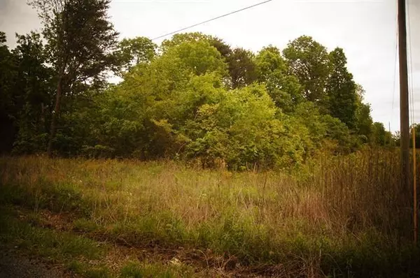 Ider, AL 35981,0 County Road 372