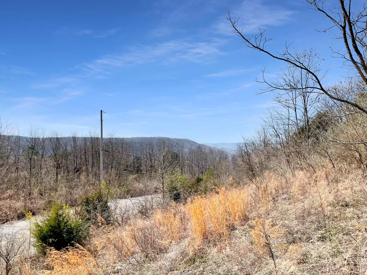 South Pittsburg, TN 37380,0 Teludachee TRL