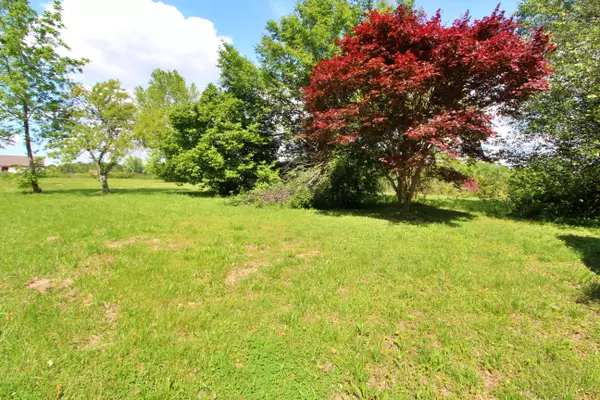 Section, AL 35771,8816 County Road 19