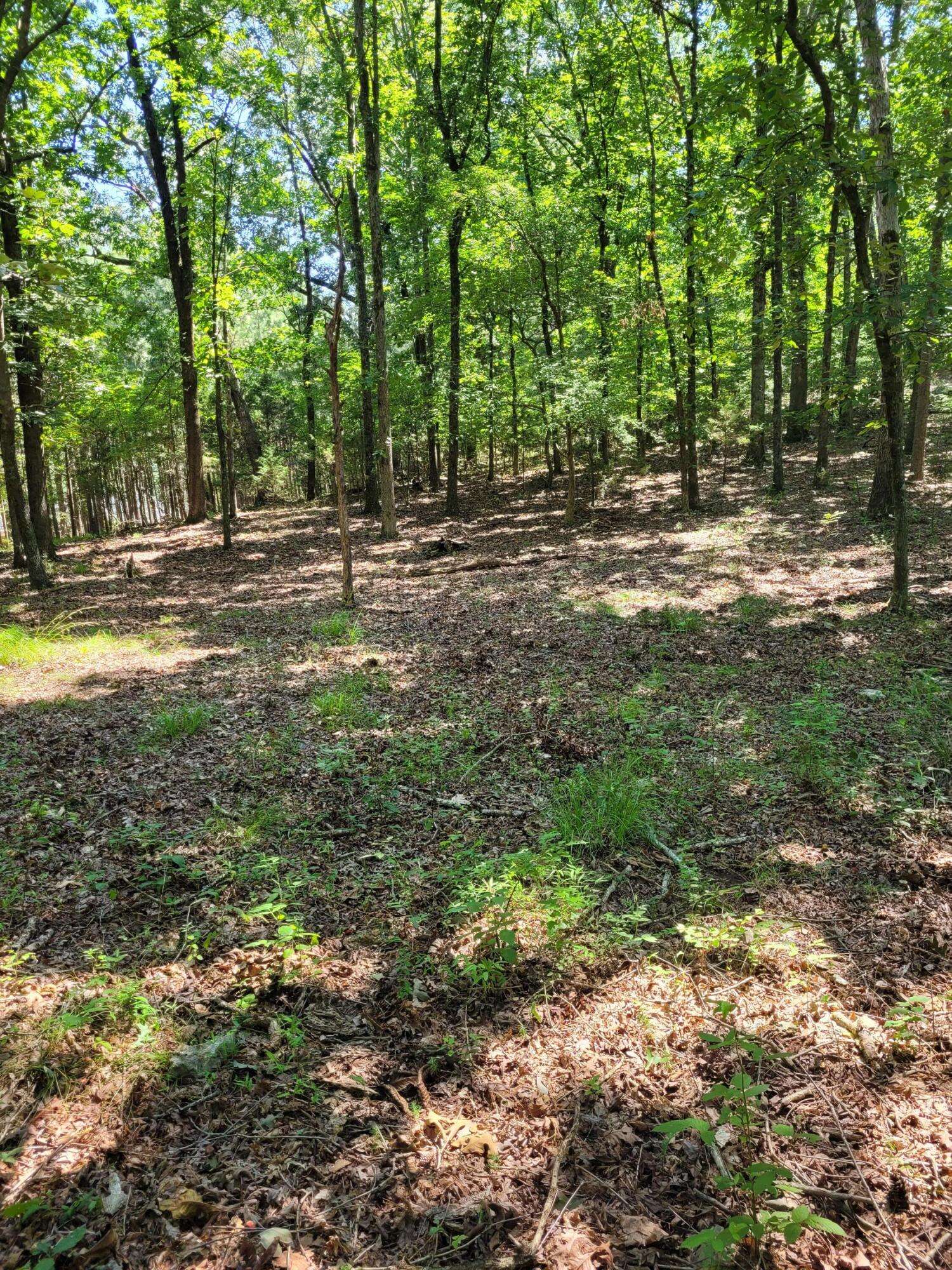Ringgold, GA 30736,7000 Three Notch RD