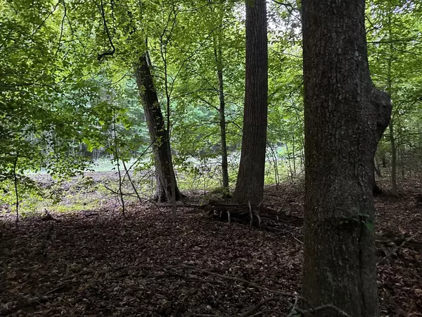 Sewanee, TN 37375,Lot 34 Jackson Point Road