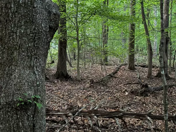 Sewanee, TN 37375,Lot 34 Jackson Point Road