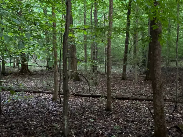 Sewanee, TN 37375,Lot 34 Jackson Point Road