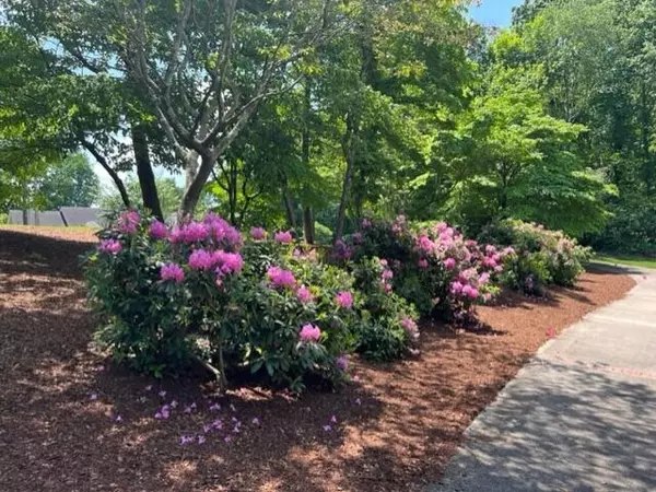 Cohutta, GA 30710,370 Old Hollow TRL