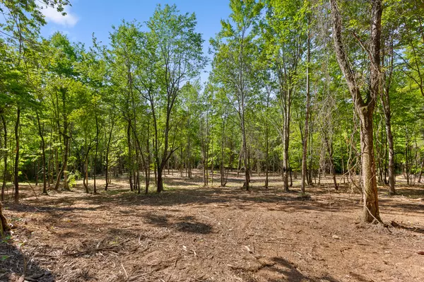 Spring City, TN 37381,Lot 8 Piney View DR