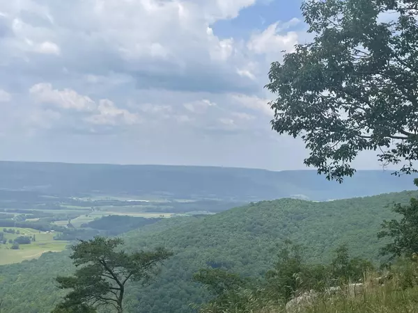Pikeville, TN 37367,579 Crystal Falls DR