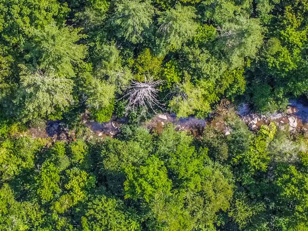 Crossville, TN 38571,17055 Genesis RD