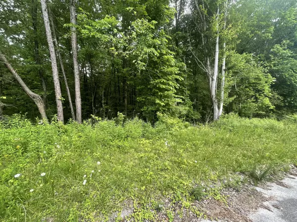 Soddy Daisy, TN 37379,Lot 153 Bretton Dr