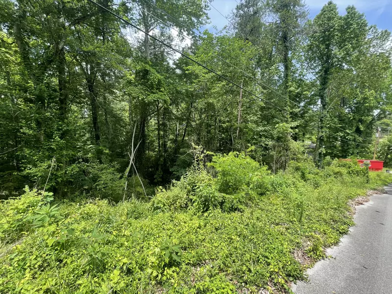 Lot 3 Tonja Ln, Soddy Daisy, TN 37379