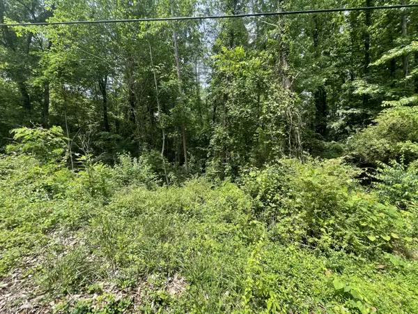 Soddy Daisy, TN 37379,Lot 3 Tonja Ln