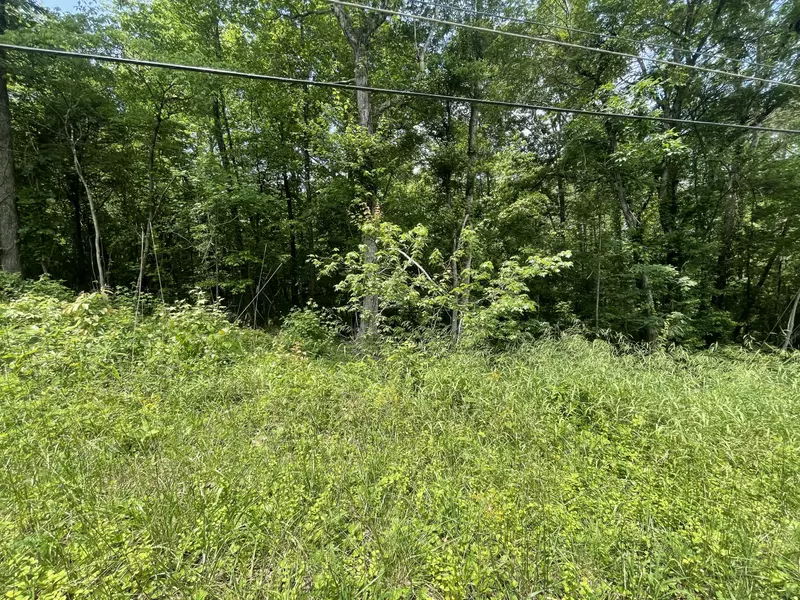 Lot 4 Tonja Ln, Soddy Daisy, TN 37379