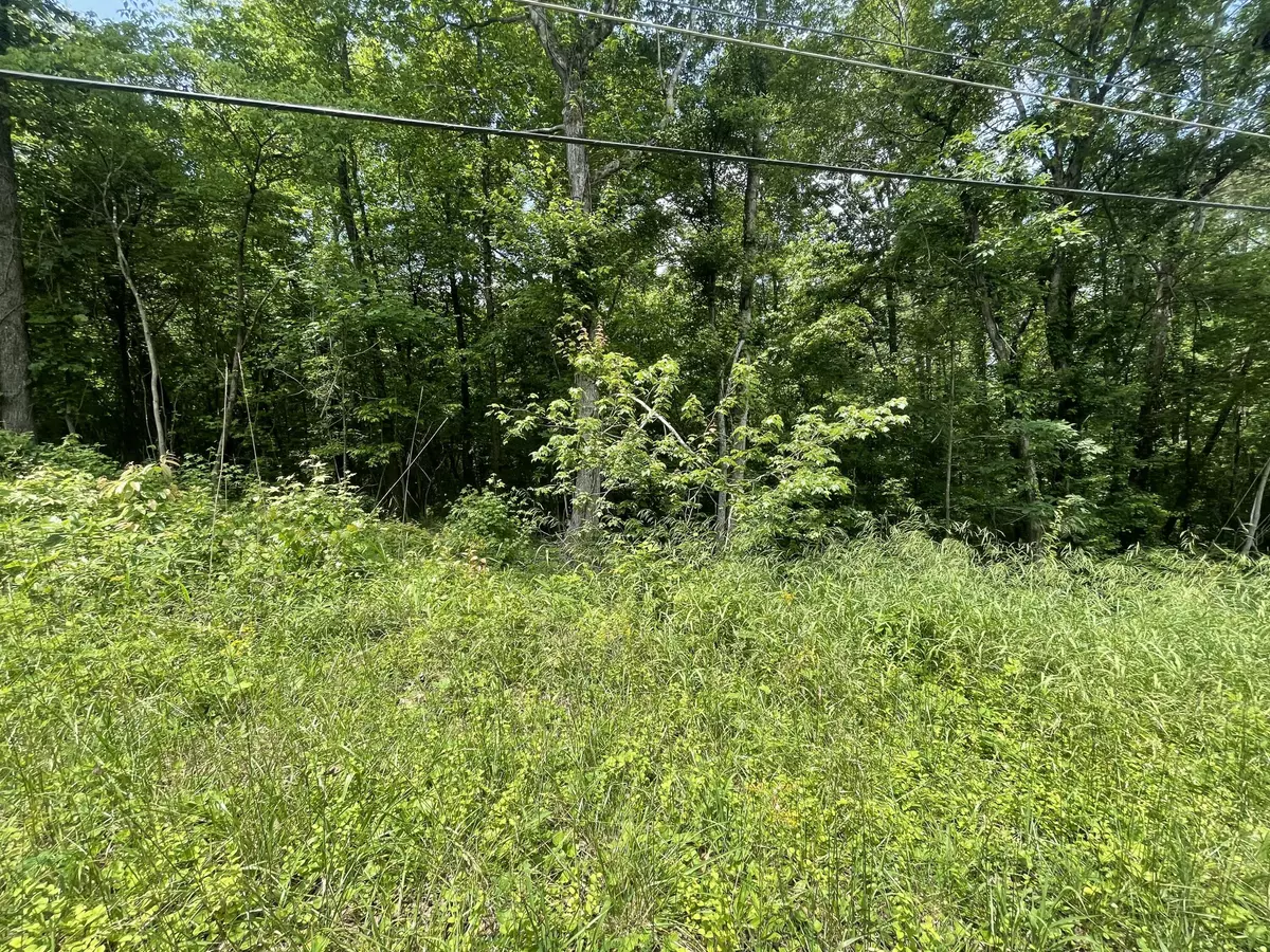 Soddy Daisy, TN 37379,Lot 4 Tonja Ln