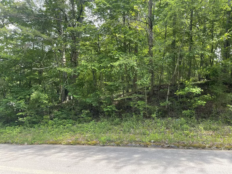 Lot 55 Tonja Ln, Soddy Daisy, TN 37379