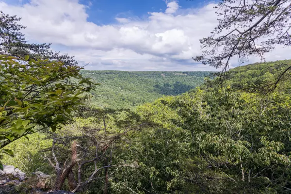 Monteagle, TN 37356,0 Bridal Veil