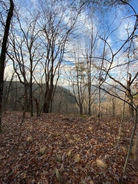 0 Eagle Bluff RD, Cloudland, GA 30731