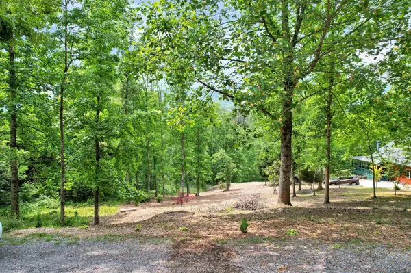 347 Lakeview Drive, Turtletown, TN 37391