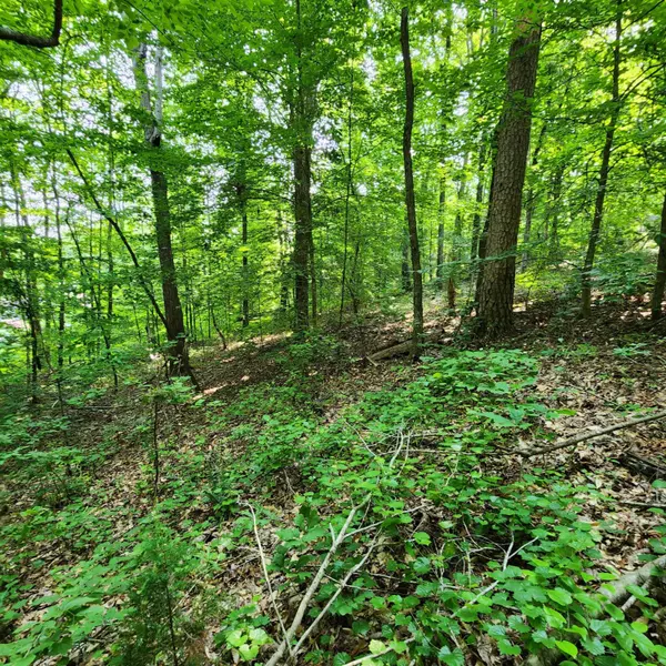 Whitwell, TN 37397,0 Henry RD