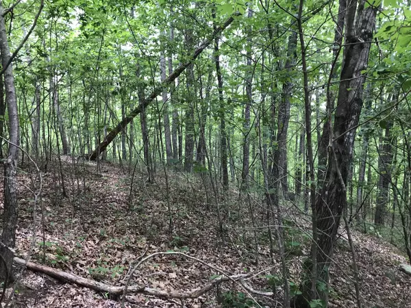 Dunlap, TN 37327,0 Wilderness Way