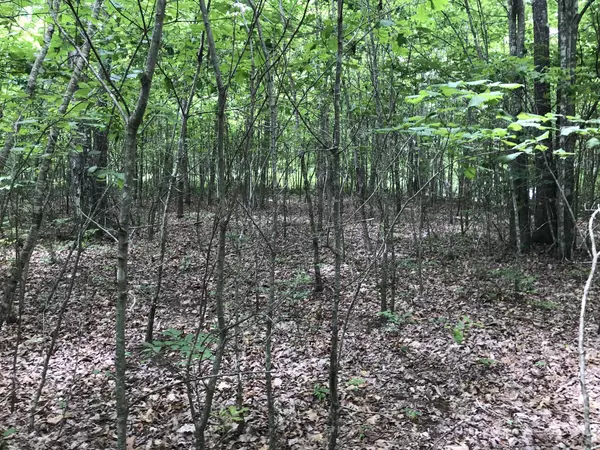 Dunlap, TN 37327,0 Wilderness Way