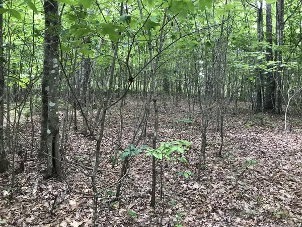 Dunlap, TN 37327,0 Wilderness Way