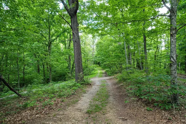 Fayetteville, TN 37334,440 Puppis LN