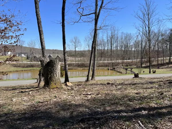 Lookout Mountain, GA 30750,83 Brow Wood LN