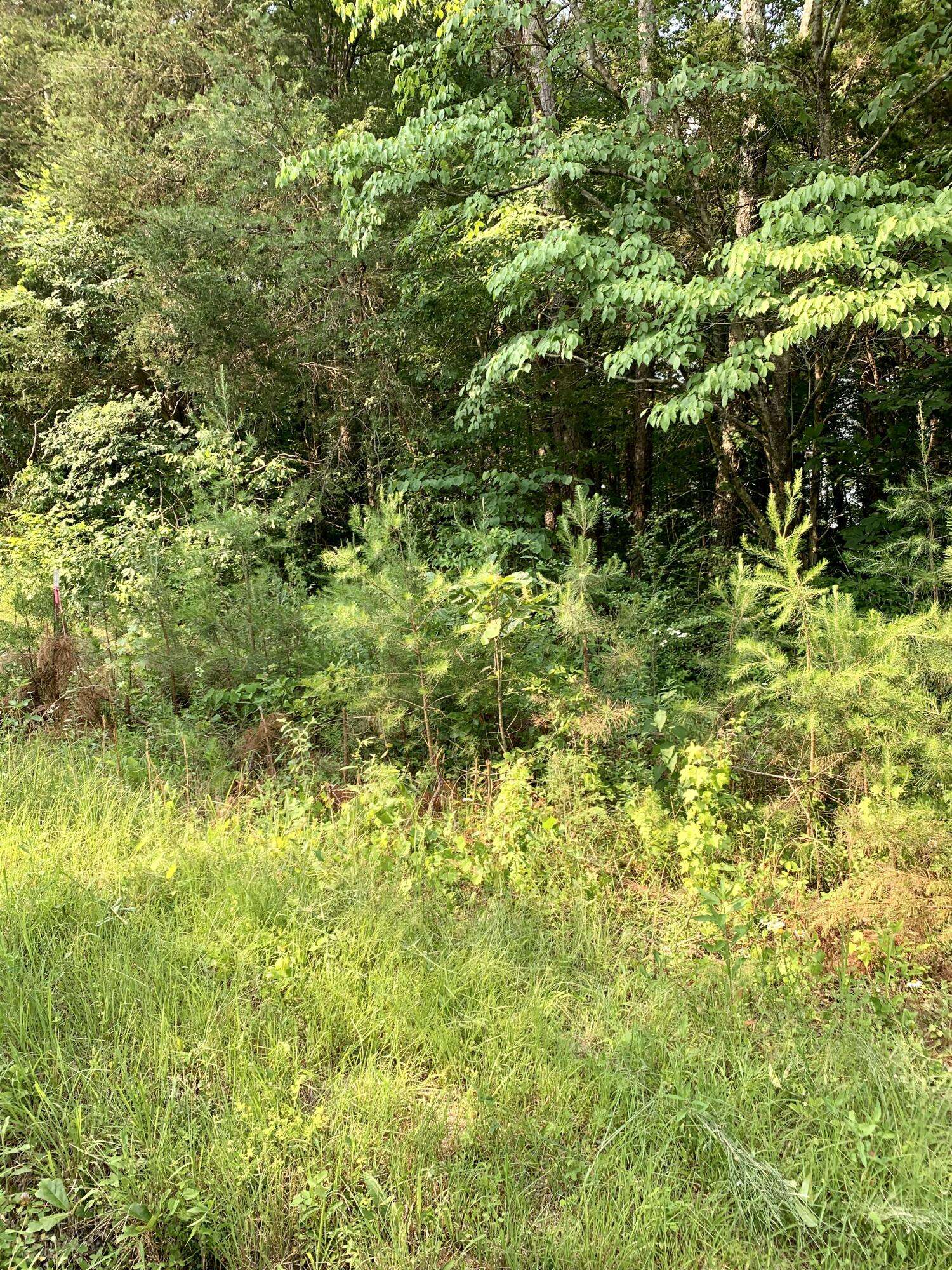 Dunlap, TN 37327,Lot 16 Jack Smith RD