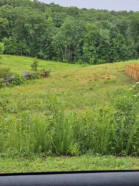 1724 Magnum LN, Soddy Daisy, TN 37379