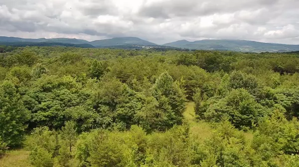 Grandview, TN 37337,0 Tower RD