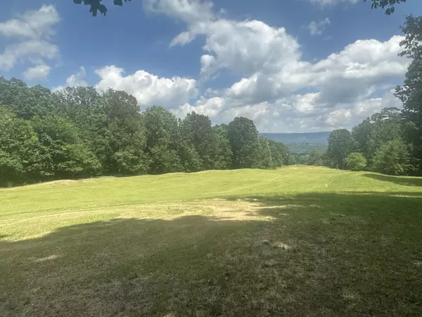 Dunlap, TN 37327,0 Big Cedar Dr