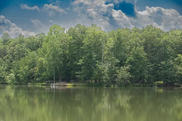 Cloudland, GA 30731,895 Lake Loop RD