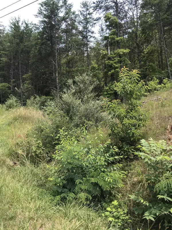 Ducktown, TN 37326,0 Highway 68