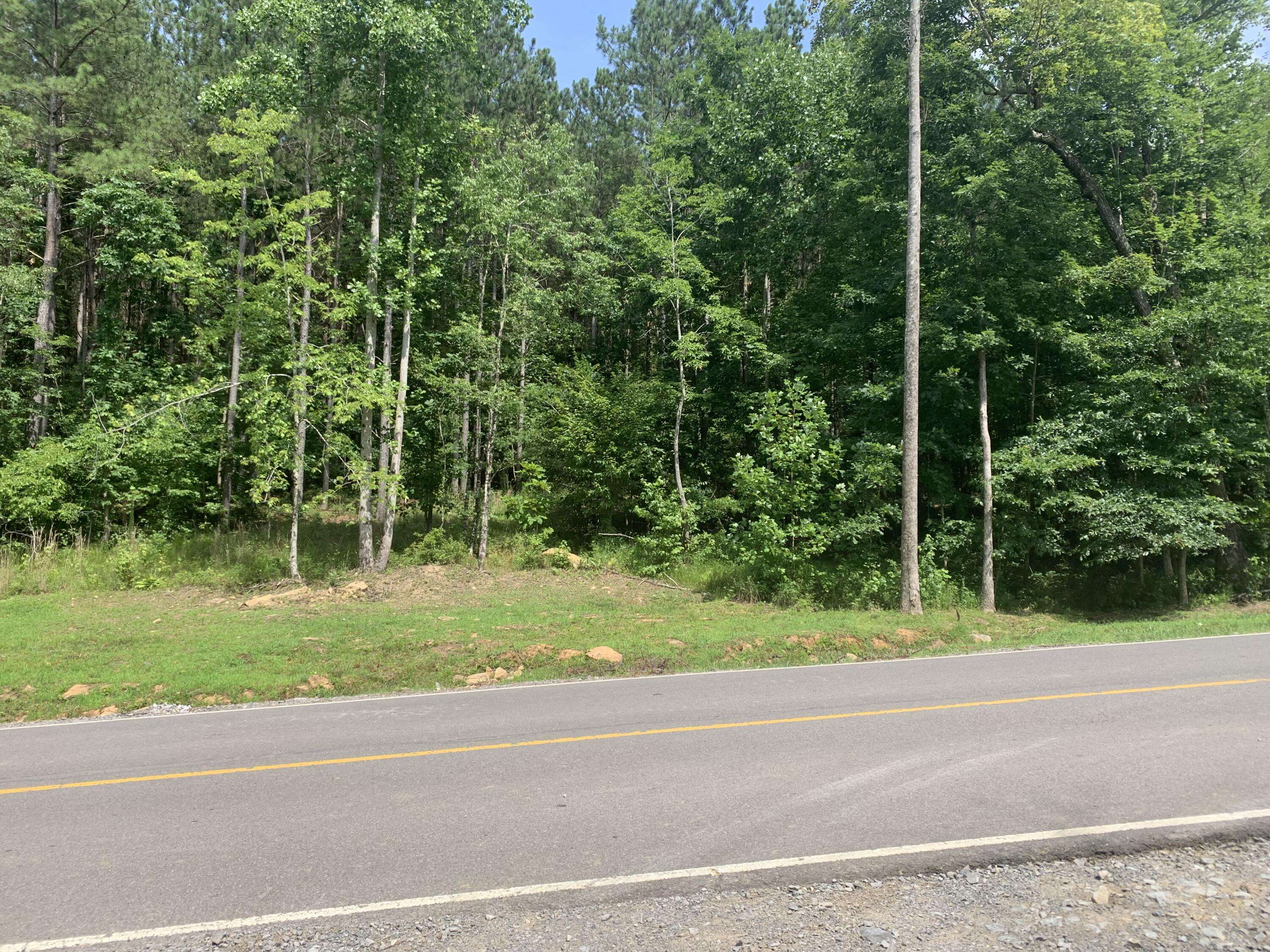 Jasper, TN 37347,4910 Raulston Falls RD