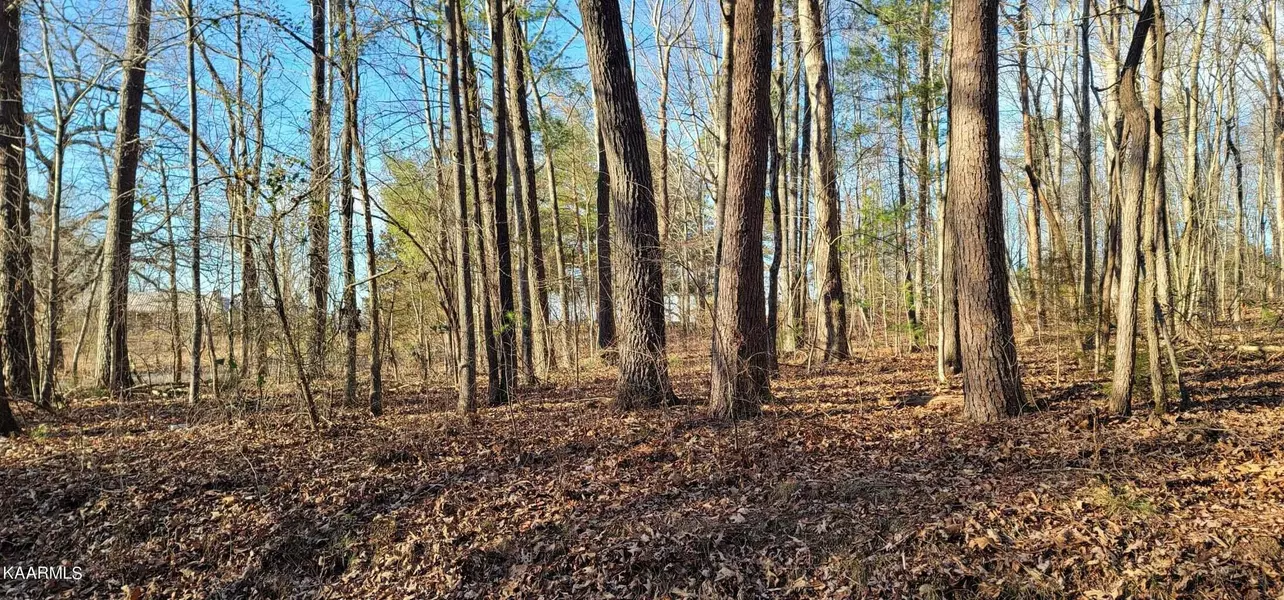 Lot 5 Boyd RD, Benton, TN 37307