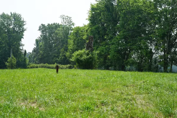 Grandview, TN 37337,00 Manning RD