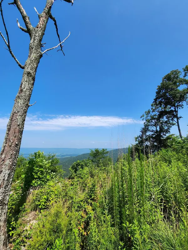 Pikeville, TN 37367,0 Overlook LN