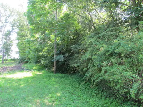 Whitwell, TN 37397,2.17 Belmont Church Rd