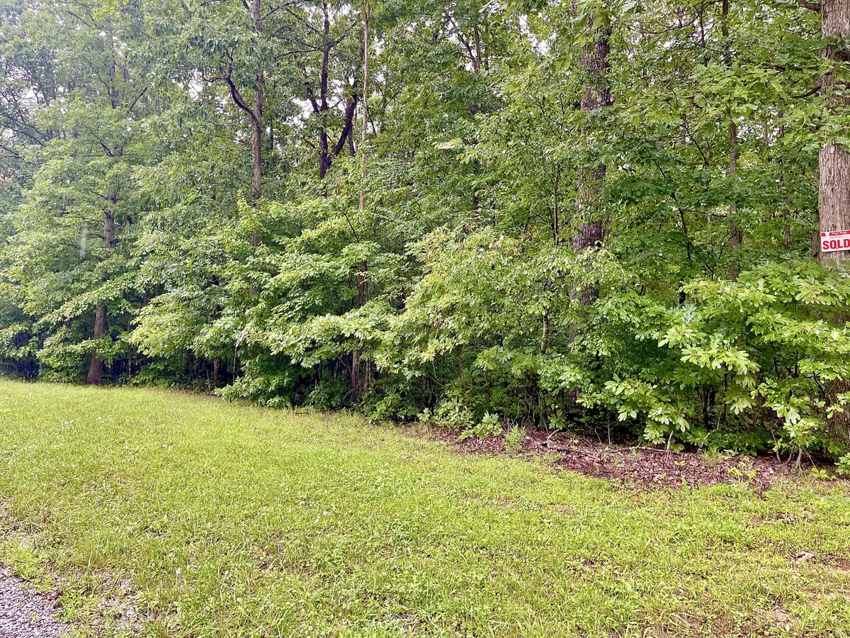 Pikeville, TN 37367,Lot 54 Lou RD